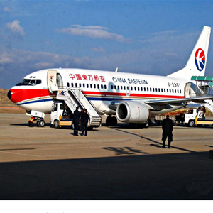 义勒力特航空快递-当日到达,轻松快捷