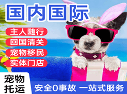 义勒力特航空快递国际宠物托运 【国